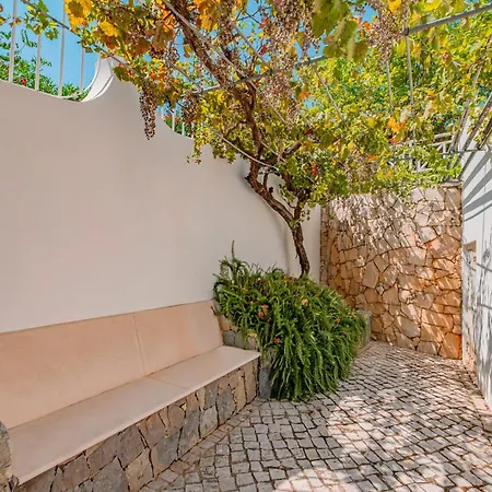 Nespereira - Escapadinha Com Piscina Aquecivel E Bbq - فيلة